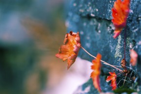 AYX体育-特色足球主题公园即将开幕，打造体育文化旅游新地标，足球公园要门票吗