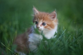 爱游戏资讯-抢断高手制造失误次数最多的球员，抢断高手制造失误次数最多的球员是谁