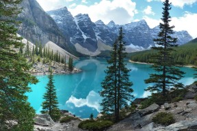 爱游戏下载-新赛季球员注册流程全面无纸化操作，球员注册信息