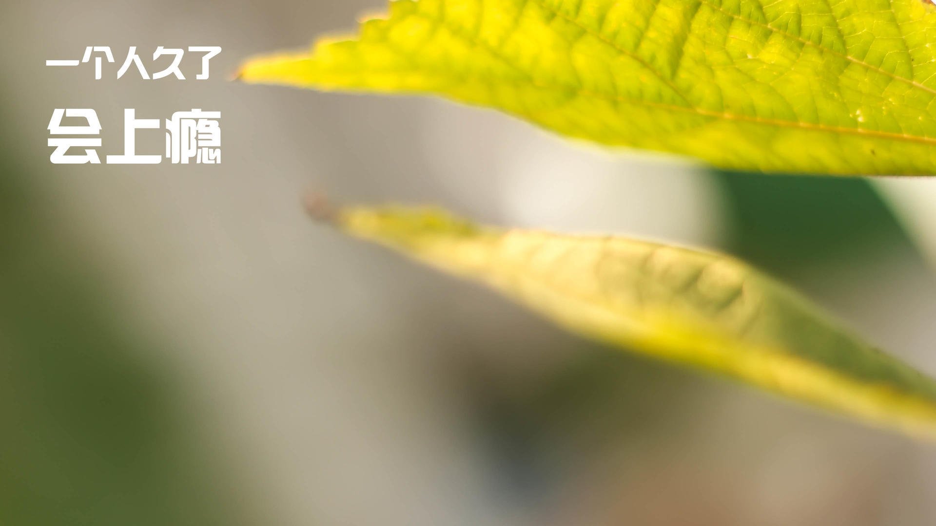 博卡缺乏中场调度核心