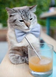 国家队技战术不匹配青年梯队训练模式,国家队技能顺序