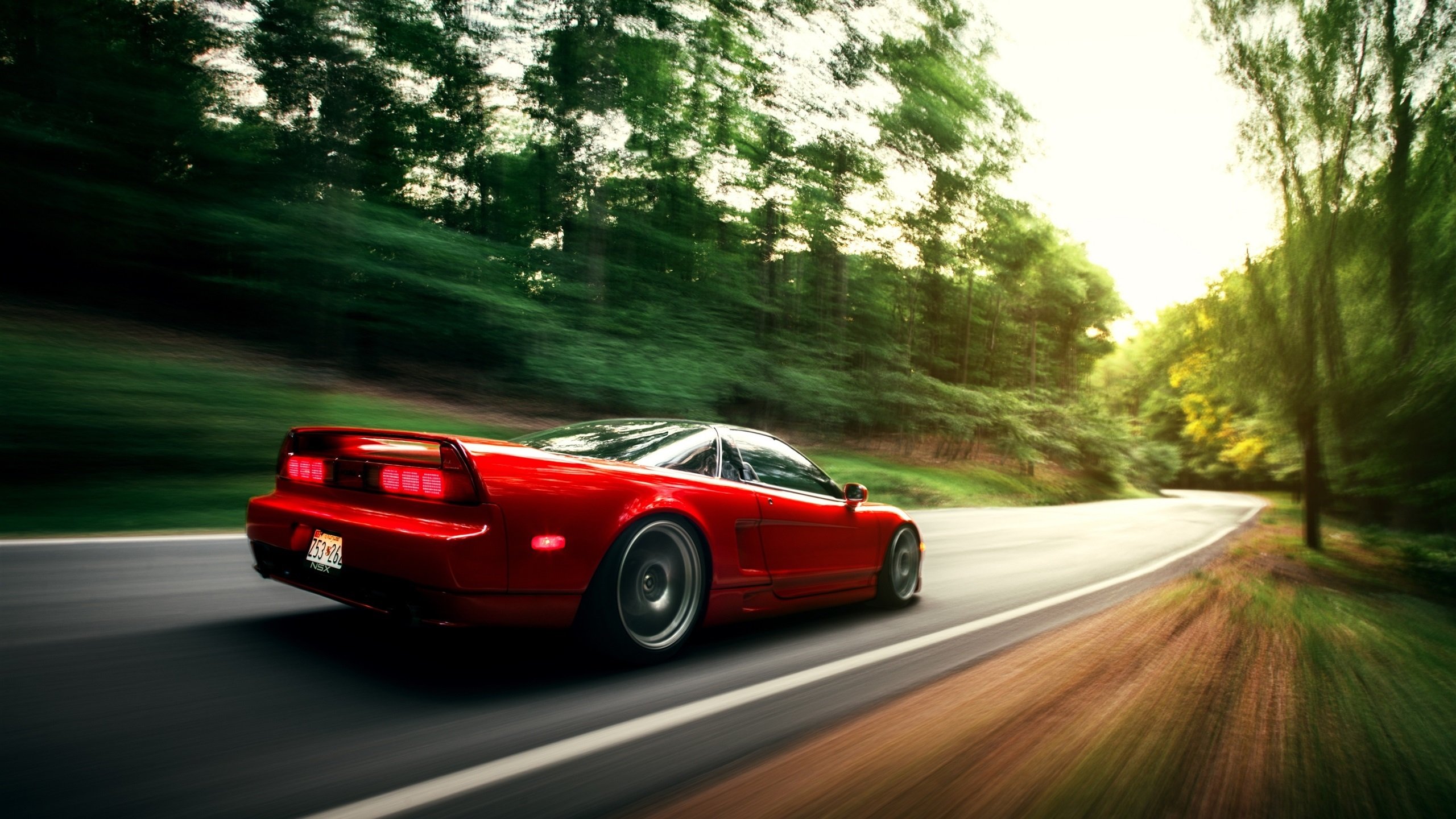 女子仰泳实现赛季大满贯,女子200仰泳