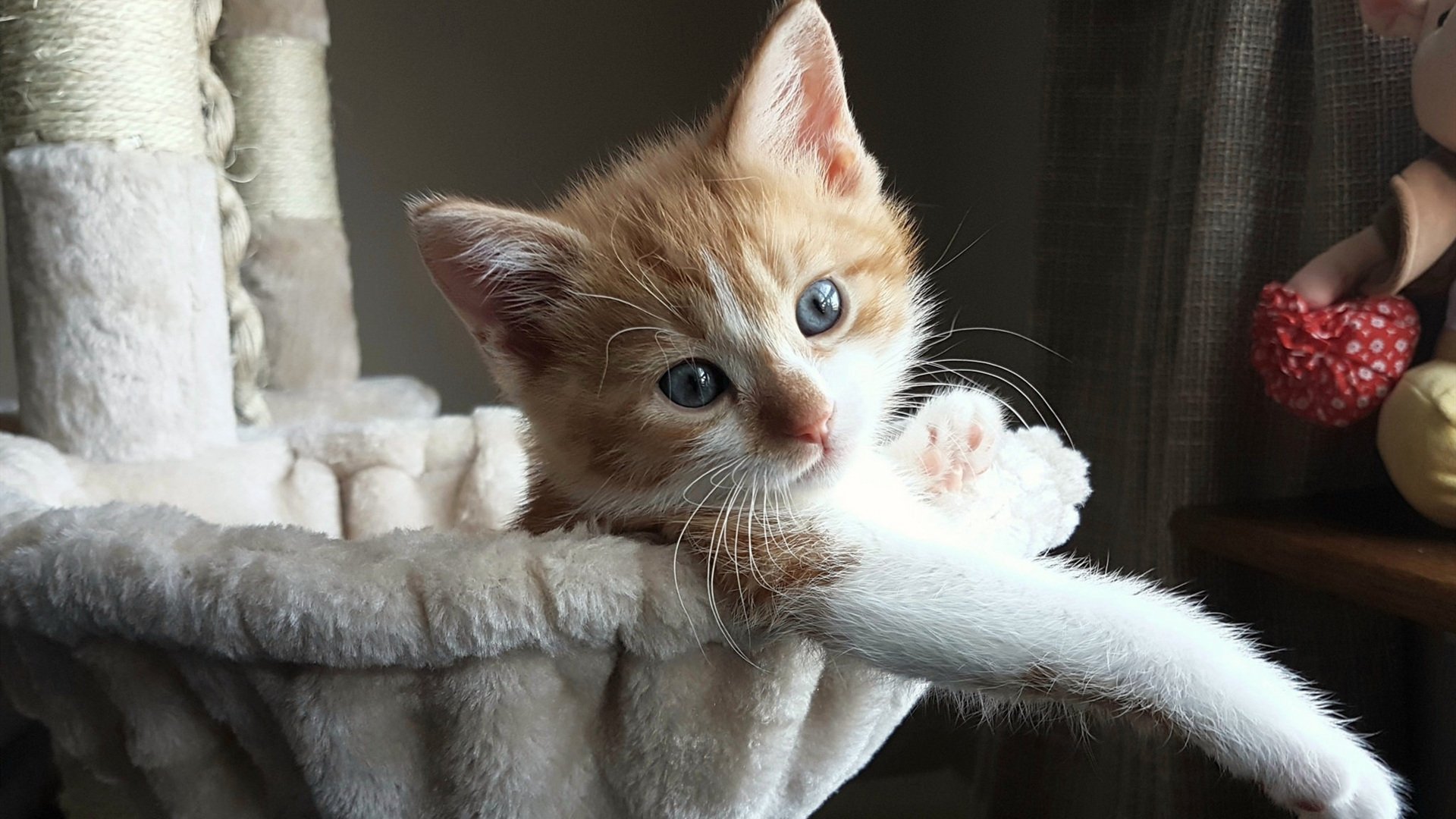 尤文遭遇失利，16强将对阵皇马硬仗，尤文16强对手