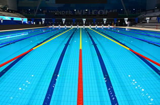 爱游戏官网-体坛记忆｜福冈世锦赛蝶泳决赛，张雨霏最后5米不换气狂冲，逆袭夺金